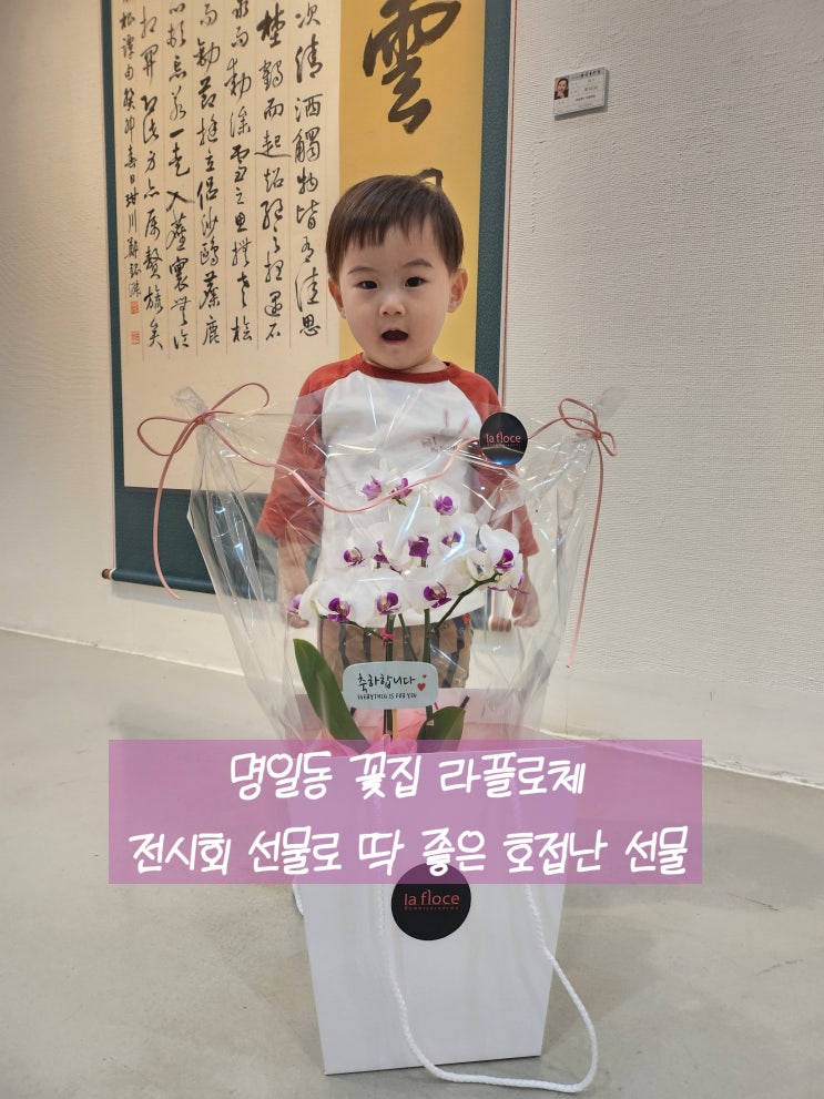  명일동 꽃집 라플로체에서 준비한 전시회선물! 호접난
