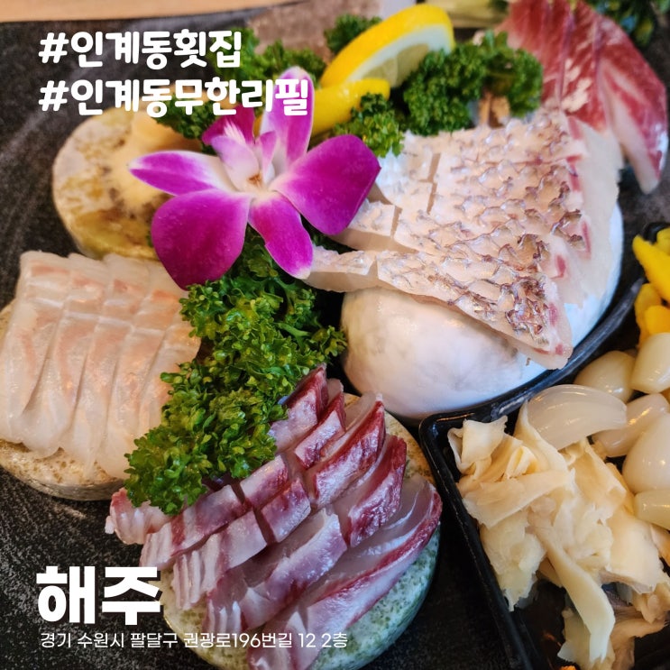  [수원/인계동 맛집] 수원시청역 횟집 나혜석거리 선어회 무한리필 맛집 해주