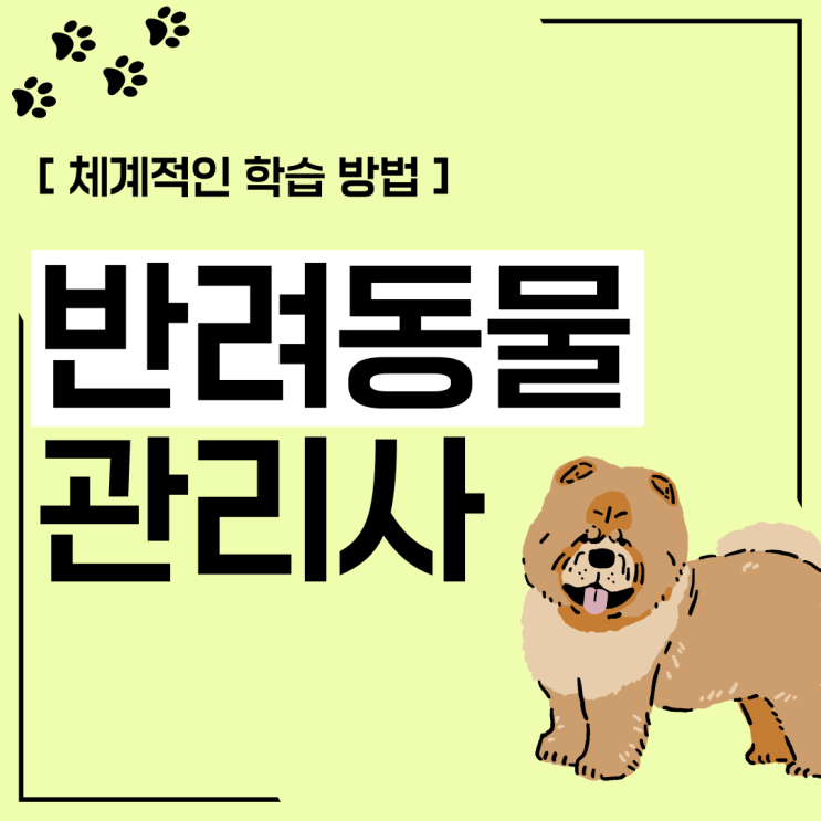 반려동물관리사 자격증 체계적인 학습 방법 반려동물관리사 자격증 체계적인 학습 방법