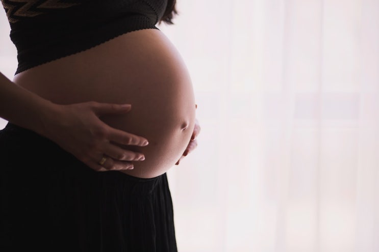 임신 등 출산 목적의 G-1 비자 발급 및 G-1 비자의 체류자격 변경