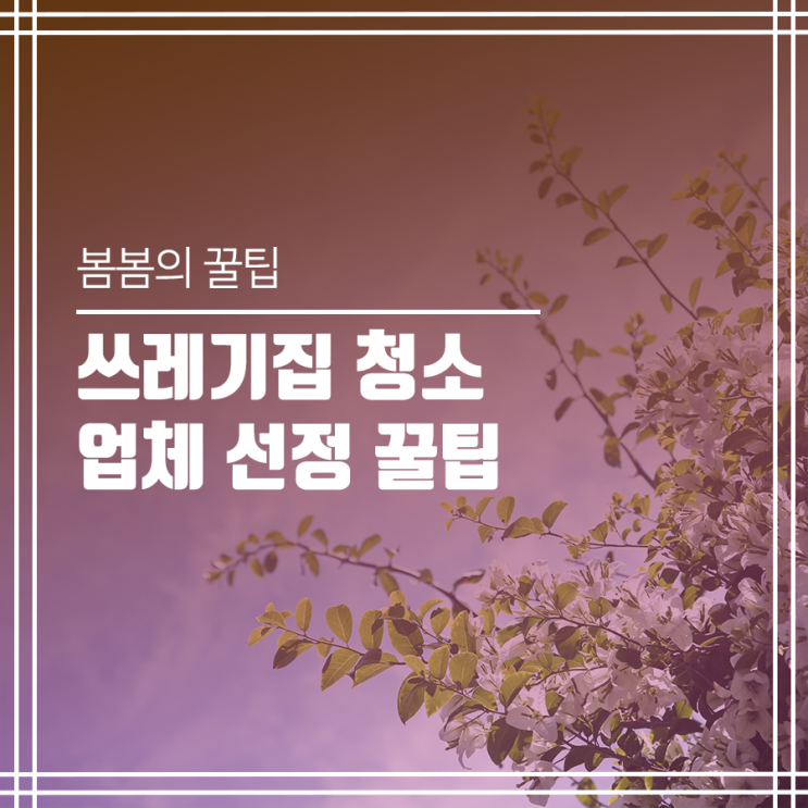  쓰레기집 청소 업체 선정 꿀팁! (Feat. 고객 후기)
