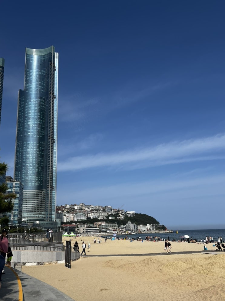  한여름같은 해운대와 해변의 바 '클램'에서 낮맥,송림공원 수국까지.