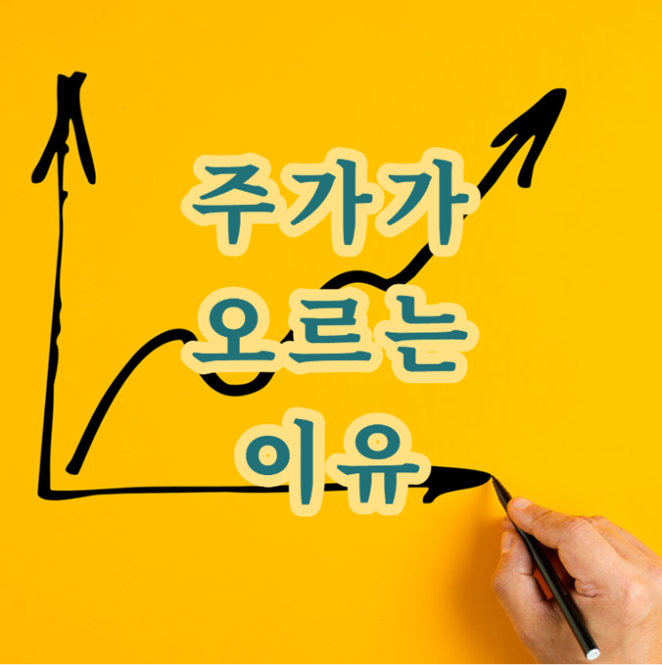  주가가 오르는 이유