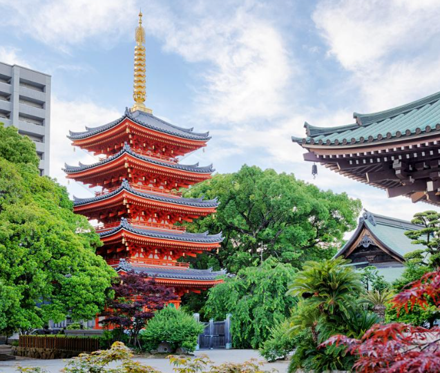전통적인 매력과 현대적인 명소의 조화,일본 후쿠오카 여행지 베스트 리스트