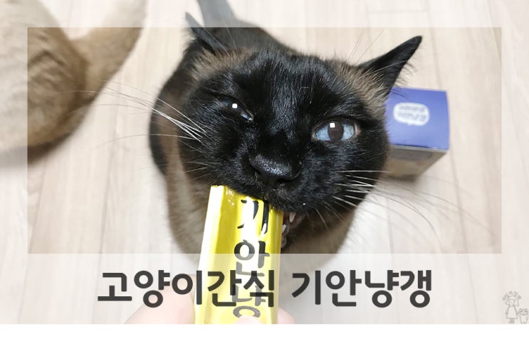 <b>기안84</b> 고양이간식 귀한양갱 <b>기안</b>냥갱