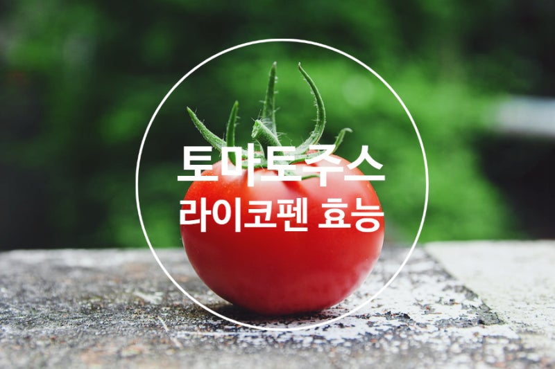 꽈추형이 좋아하는 토마토 주스 라이코펜 효능은 무엇일까?