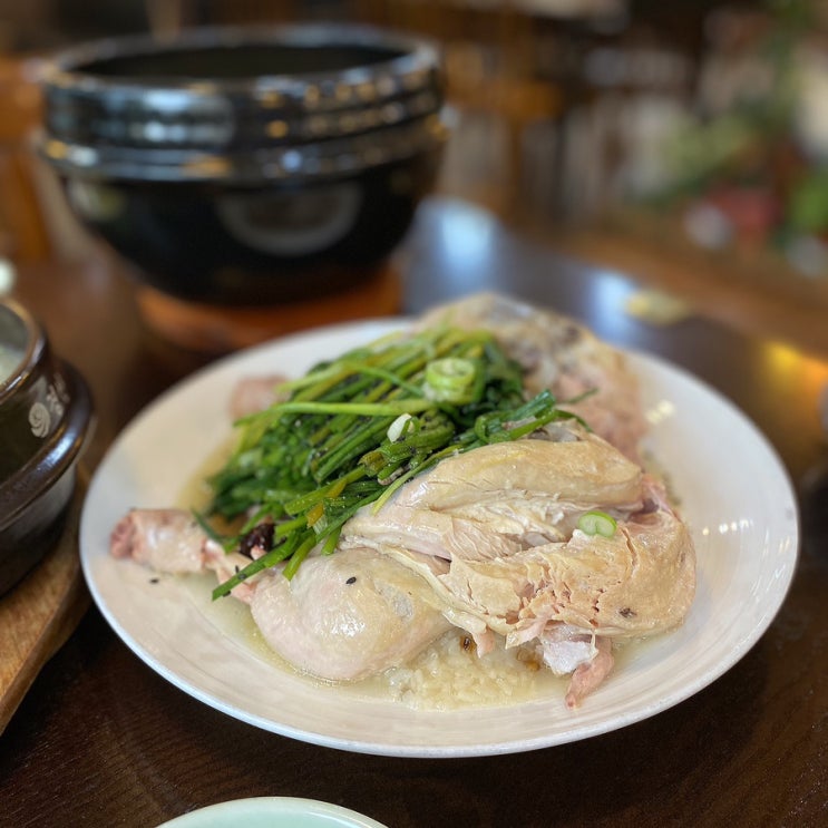  일산삼계탕맛집 화정삼계탕 보인삼계탕 백숙으로 몸보신
