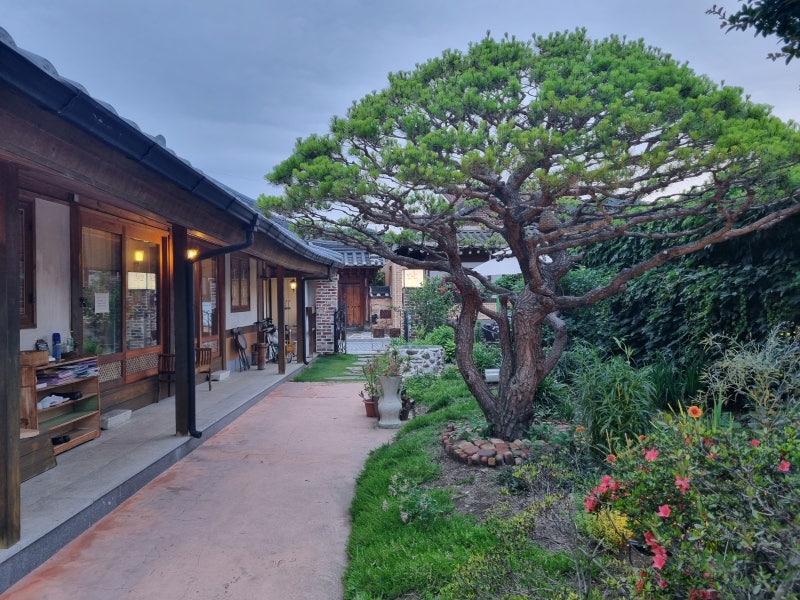 전주,모란 게스트하우스: 한옥마을 한옥숙박/마당예쁜집/외국인, 아이와함께 숙소 추천/ 맛집리스트 : 네이버 블로그