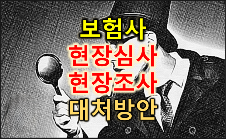  보험사 현장조사/현장심사/추가확인 대처법 알아보세요