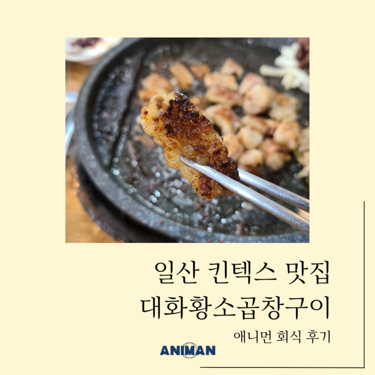 일산 킨텍스 맛집 대화황소곱창구이 회식 후기 / 메가주 회식