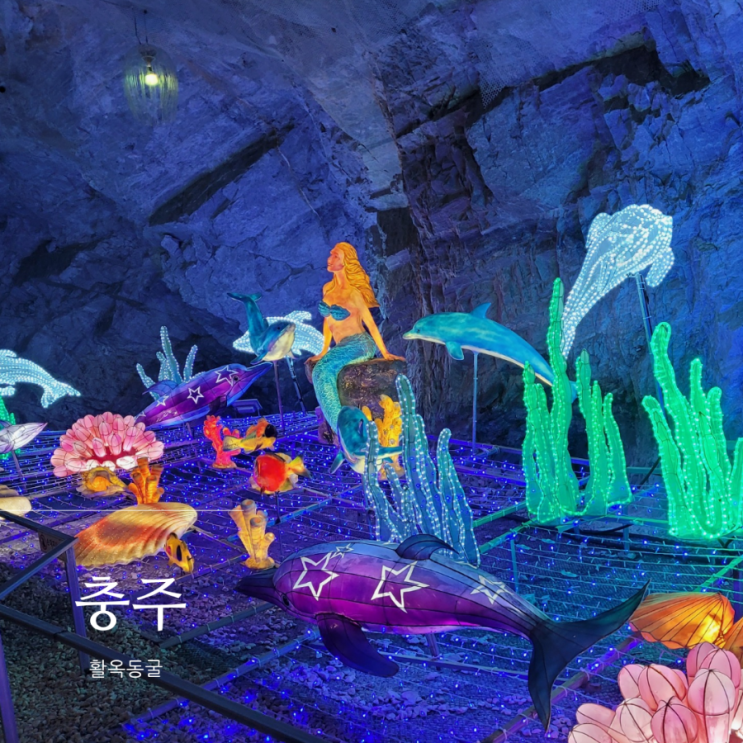  충주 활옥동굴 예약, 입장료 가격 및 투명카약 후기 / 충주 가볼만한 곳, 충주에서 일주일 살기