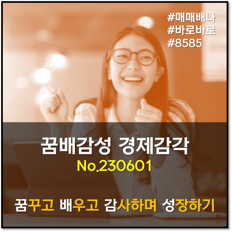 꿈배감성 경제지식 (230601)