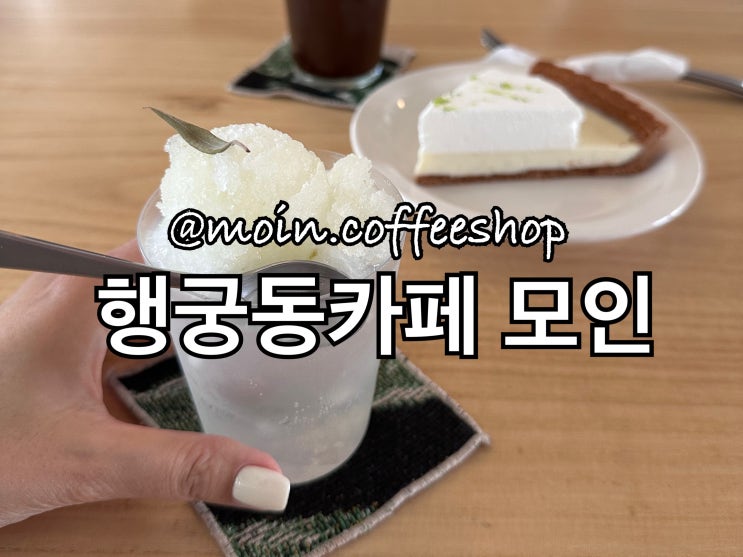  모인 moin, 수원 행궁동 카페 추천해요 (애견동반)