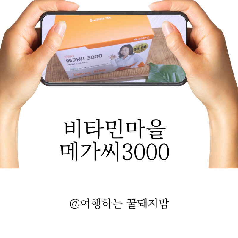 분말형비타민 비타민마을 천연비타민C 메가씨3000