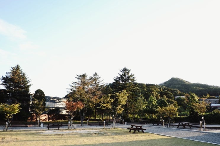 캠핑장 체크인 챌린지. 파주 별난독서캠핑장. 캠핑장 체크인 챌린지. 파주 별난독서캠핑장.
