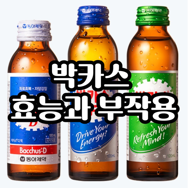  박카스 효능과 종류 그리고 부작용