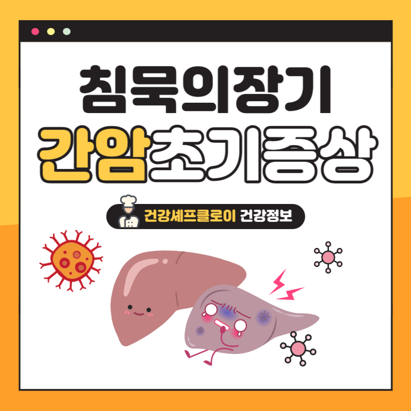 간암 초기증상 4기 말기 생존율 복수 간수치 원인 수술 치료