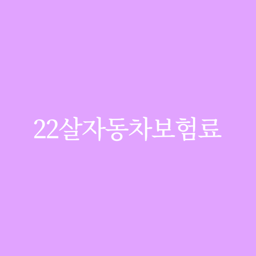 22살 자동차 보험료
