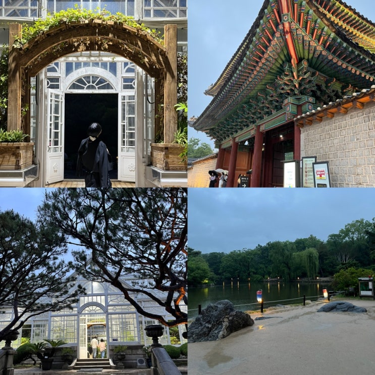  창경궁 대온실 야간개장 예약 없이 즐긴 후기! 입장료,시간,주차장 [ft.6월 서울 종로 가볼만한곳]️