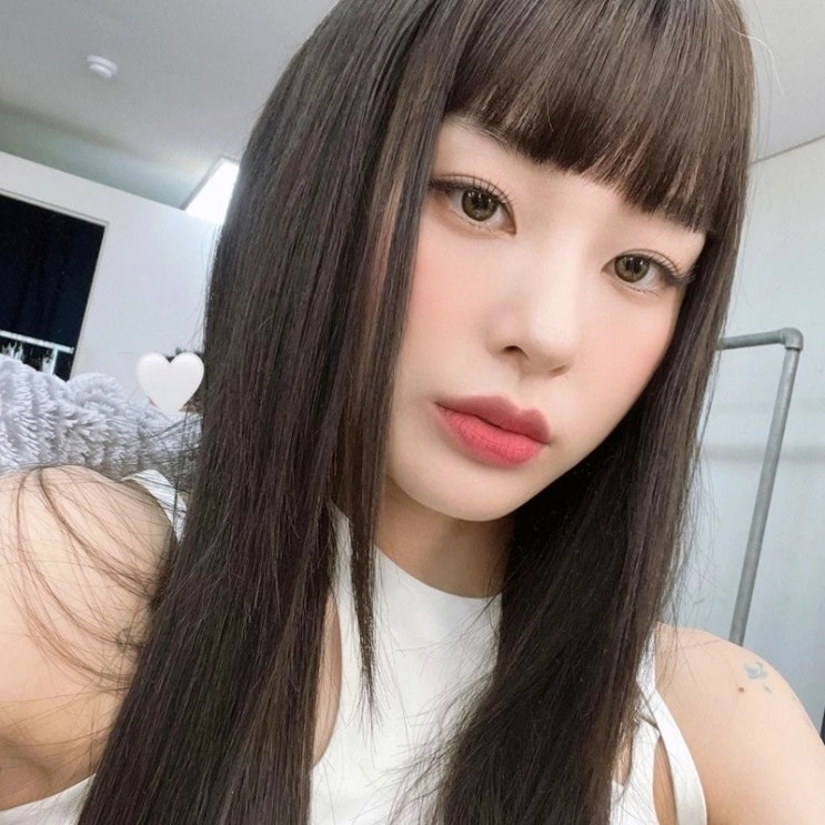 댄서 노제, 갑질 논란 딛고 돌아온 근황...유기견 입양 소식 전해져 댄서 노제, 갑질 논란 딛고 돌아온 근황...유기견 입양 소식 전해져