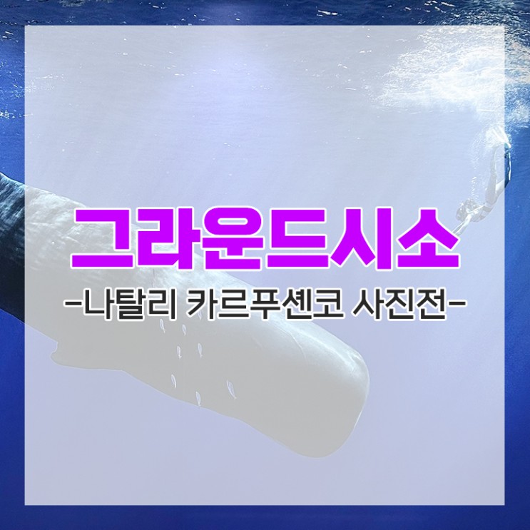 [성수] 서울 갤러리 시소 그라운드에서 나탈리 카르푸셴코 사진전 보고왔어요