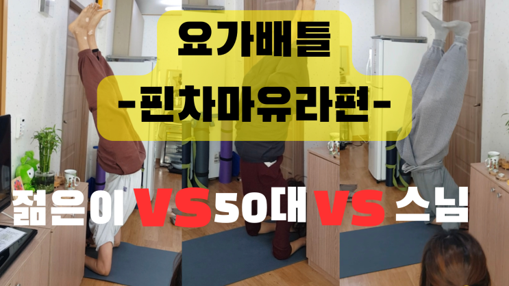  절에서 요가배틀을 했던 이야깁니다.