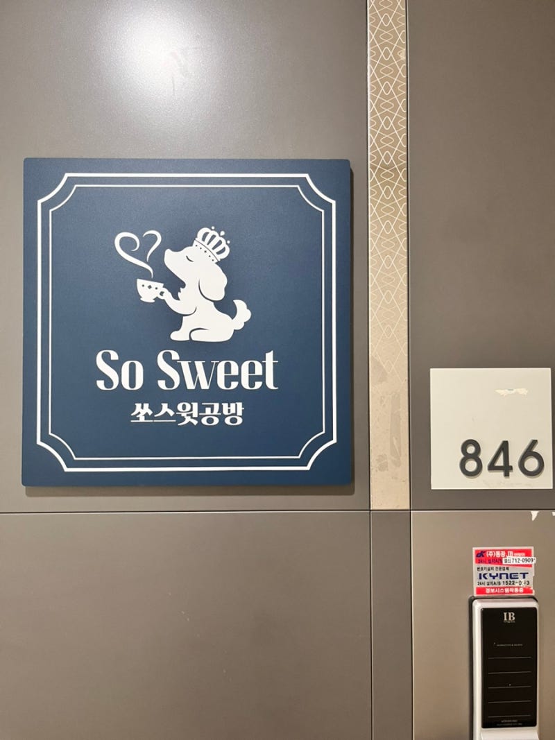 사진 6