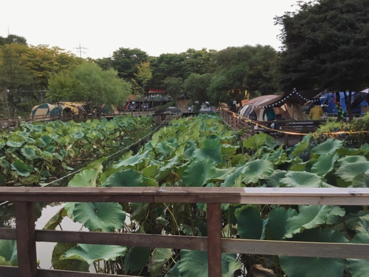 캠핑장 체크인 챌린지. 파주 귀한농부학교 캠프.