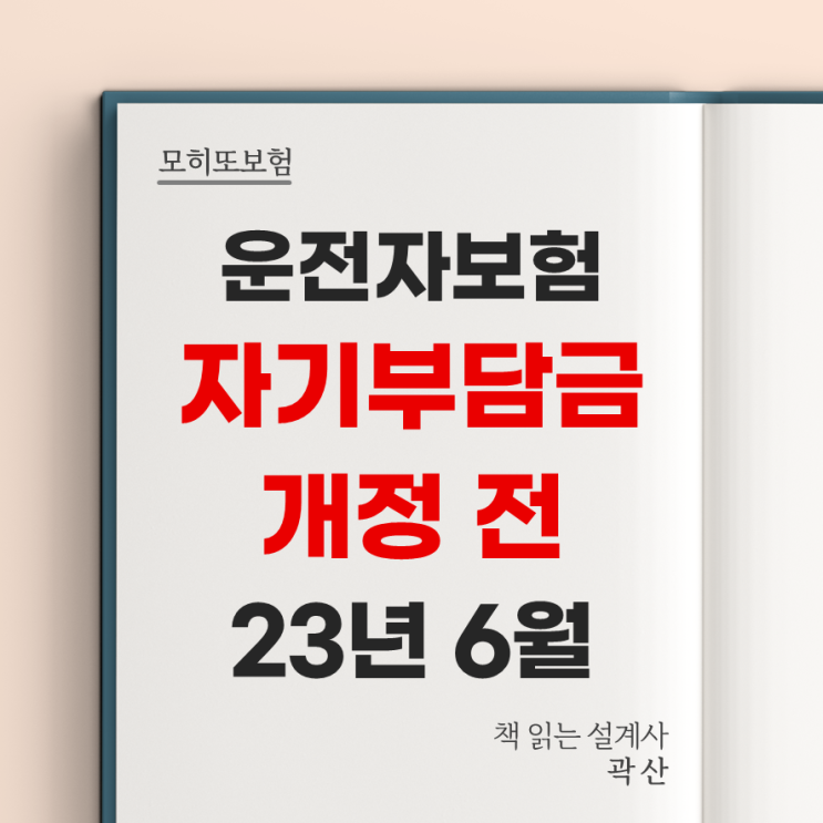  23년 6월 - 운전자보험 자기부담금 갱신 비갱신 20대 30대 40대 교통사고처리지원금 경찰조사단계 변호사선임비용 선지급 중상해 모히또 곽산 보험설계사