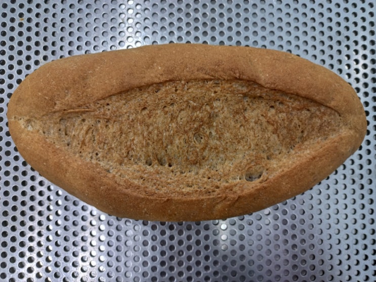  제빵기능사 호밀빵 실습 (제빵기능사합격썰)
