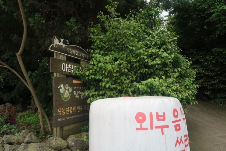  제주체험목장 아침미소목장 비오는 날 아이와 함께 방문했어요