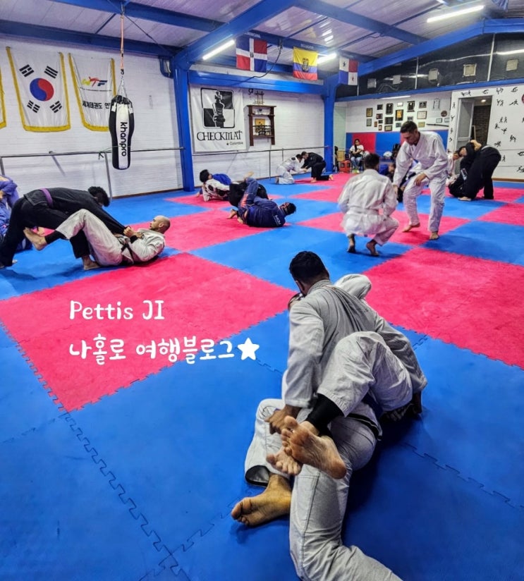 콜롬비아 주짓수 시합 준비 D-17