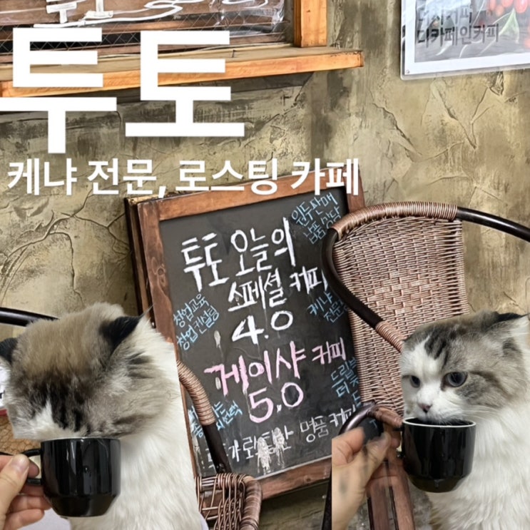  [서현동 카페] 투토, 로스팅 카페 : 아침에 영자 신문은 못 읽지만 에스프레소는 내려도 되잖아?