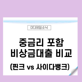  핀크 비상금대출 사이다뱅크 비교(무직자 중복 등의 조건 포함)