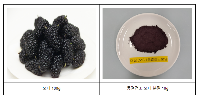 뽕나무 열매 ‘오디’의 소화 기능 개선 효과 확인 뽕나무 열매 ‘오디’의 소화 기능 개선 효과 확인