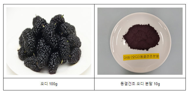 뽕나무 열매 ‘오디’의 소화 기능 개선 효과 확인