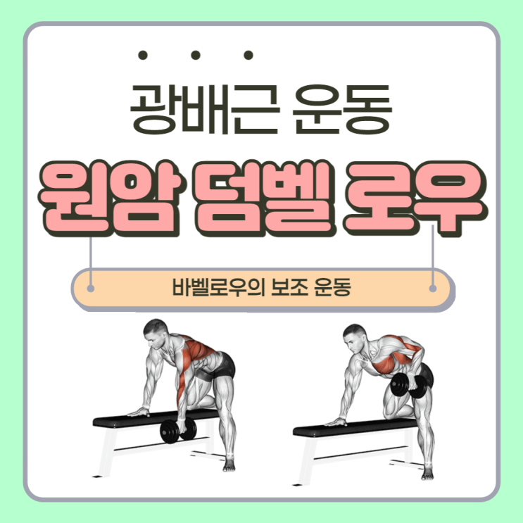  원암 덤벨 로우 운동 방법 주의사항 및 효과 - 광배근ONE ARM DUMBBELL ROW