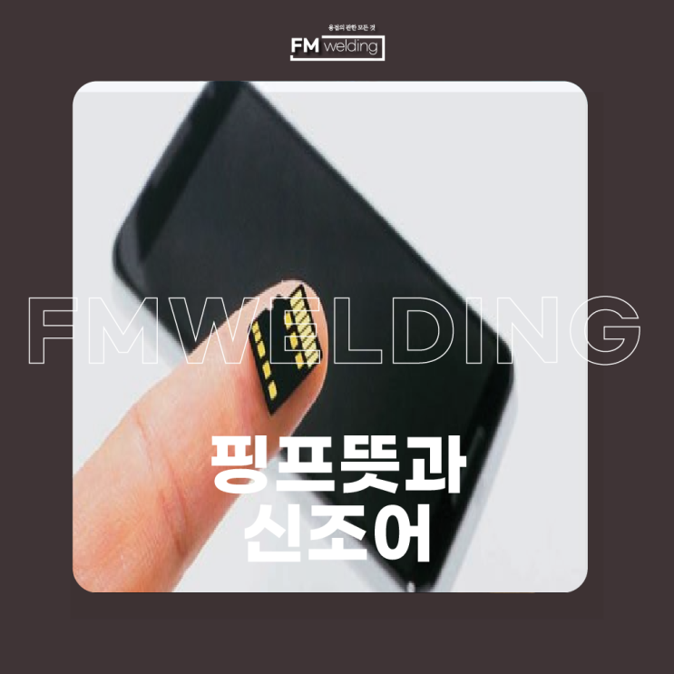  핑프뜻 신조어 정보 알아가세요!