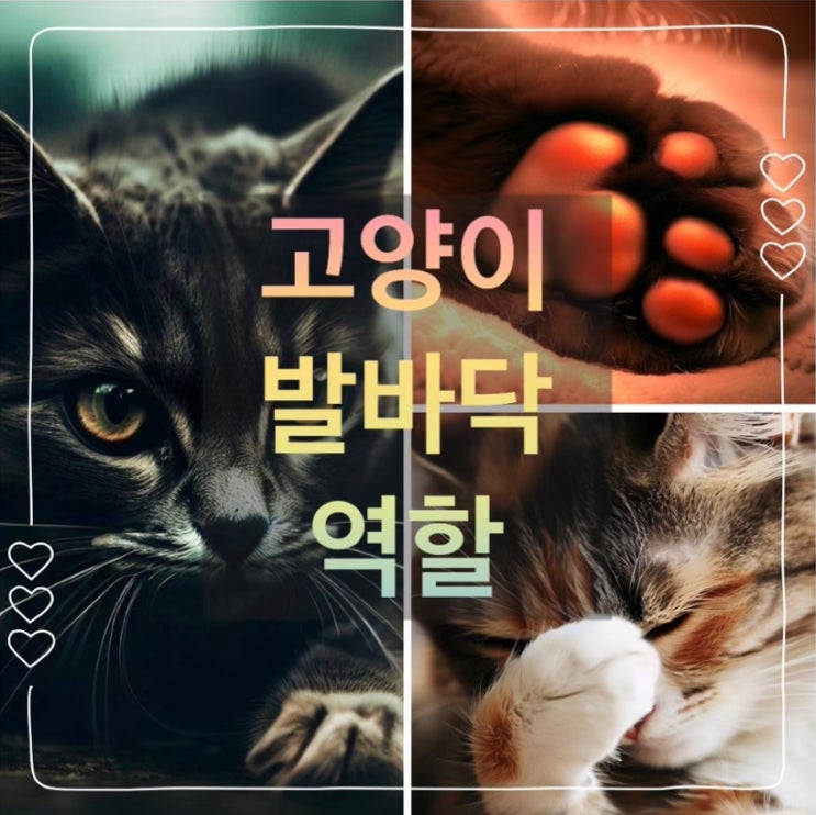  고양이 발바닥 역할