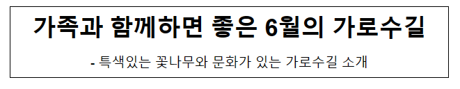 가족과 함께하면 좋은 6월의 가로수길_산림청 가족과 함께하면 좋은 6월의 가로수길_산림청