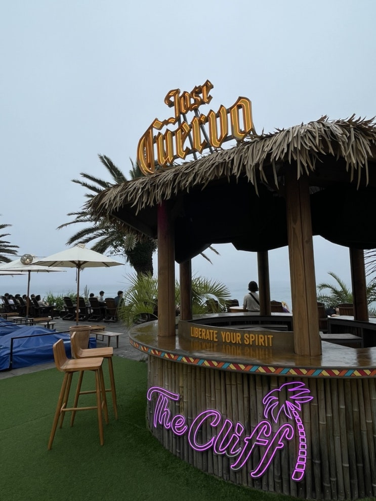 매직클리프 서귀포더클리프 서귀포핫플레이스 더클리프 The Cliff 매직클리프 서귀포더클리프 서귀포핫플레이스 더클리프 The Cliff