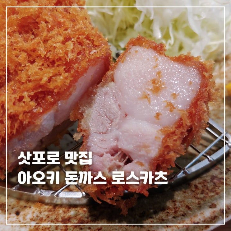  삿포로 돈까스맛집 아오키 / 삿포로 다이소 / 삿포로 맥도날드 맥플러리 / 일본 편의점 패밀리마트