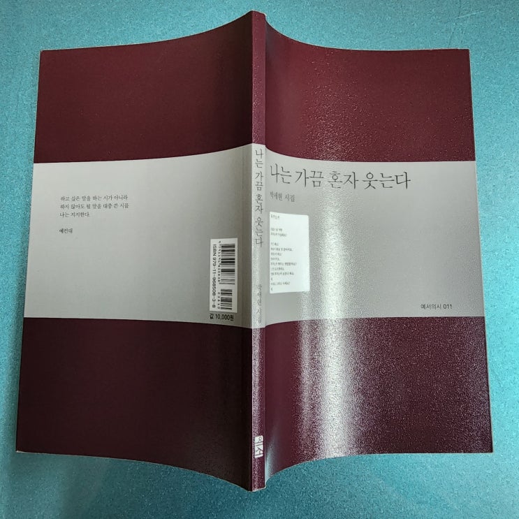  나는 가끔 혼자 웃는다(박세현 시집)