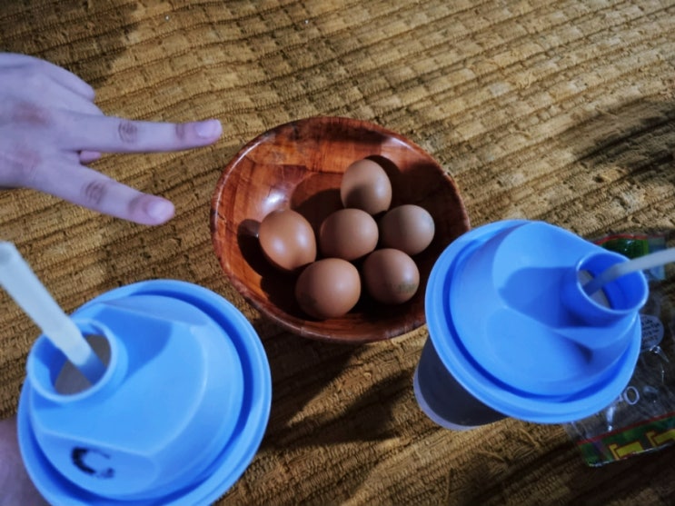 가족과 다녀온 아직 운영하는 인천 서구 해수워터피아 찜질방과 세신 후기 가족과 다녀온 아직 운영하는 인천 서구 해수워터피아 찜질방과 세신 후기