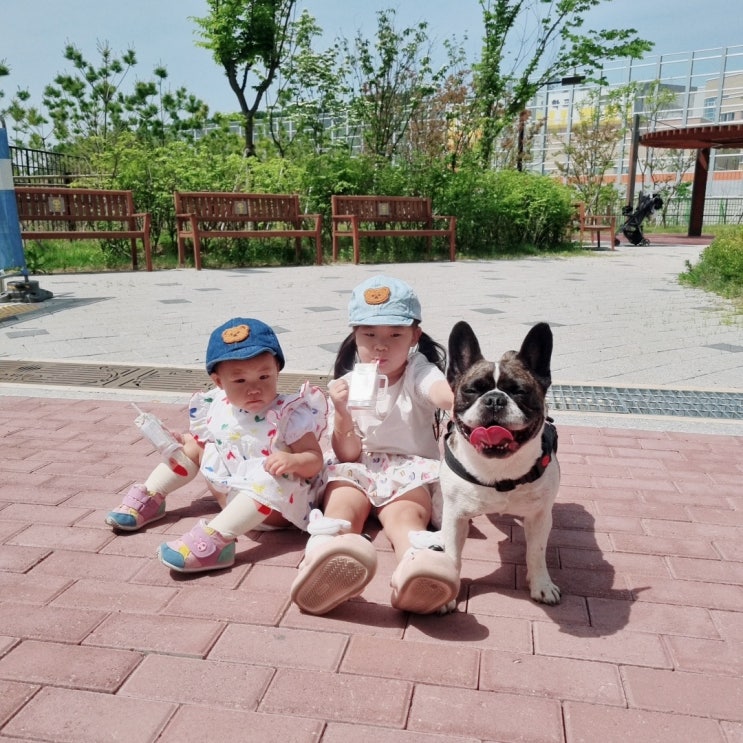  나는 순둥이 "몬이"양~