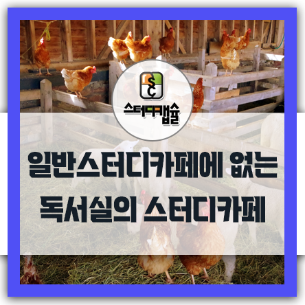 스터디카페에는 없는 스터디캡슐독서실만이 갖추고 있었던 독보적인수익을 차지하는시설은 스터디카페공간? - 비즈니스룸창업스터디라운지창업 명칭만 바꾼 말장난같은 스터디카페유사사업아이템