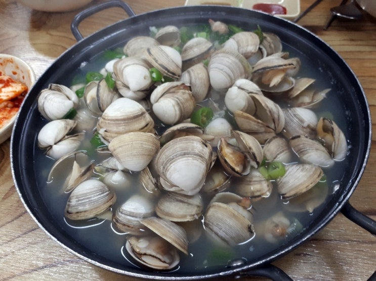  대전 맛집 오씨 칼국수 손 칼국수 물총 매운김치