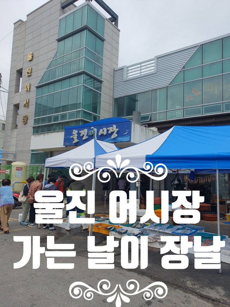  울진 어시장 가는날이 장날