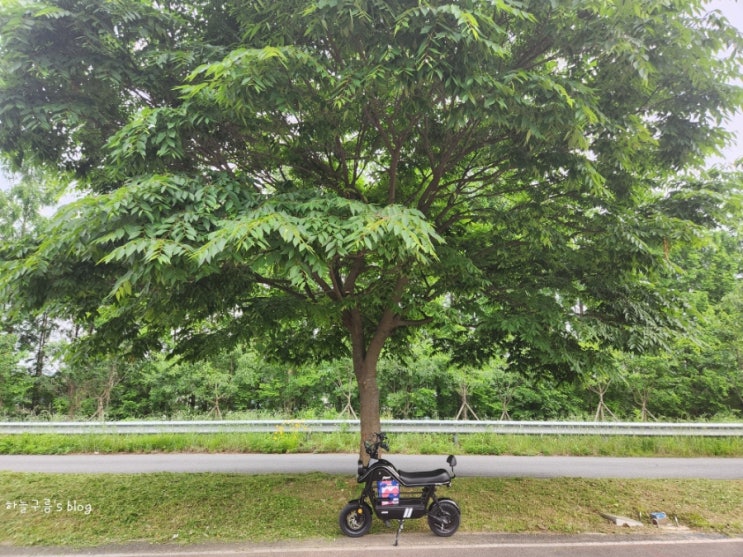 AU테크 에코로 PONY 포니 전동스쿠터 내돈내산 후기