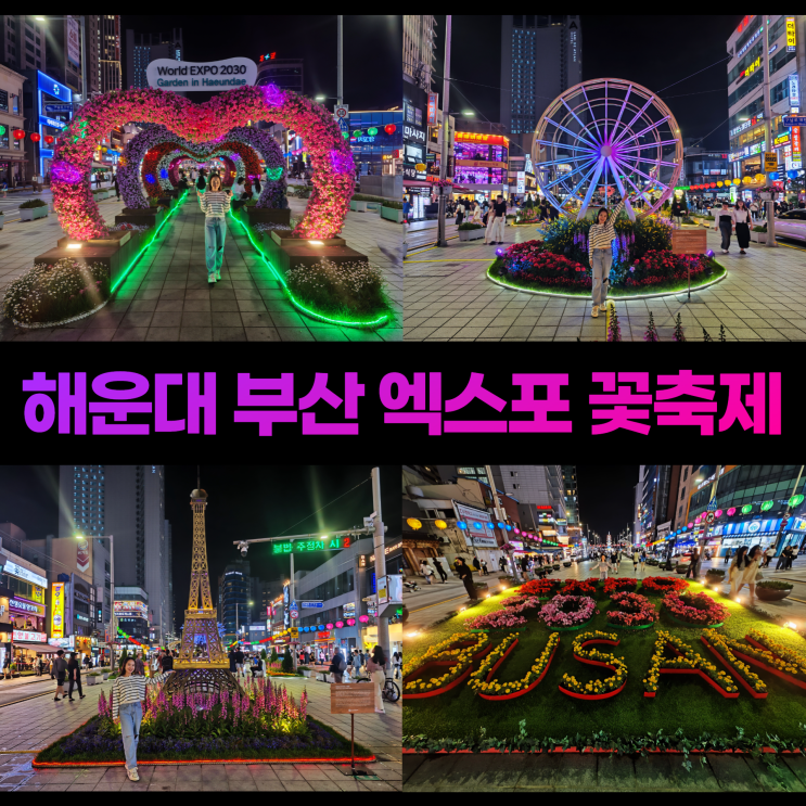 해운대 광장 부산 엑스포 꽃축제 포토존 야간 데이트 해운대 광장 부산 엑스포 꽃축제 포토존 야간 데이트